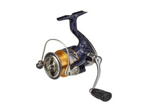 _C(Daiwa) 20 NXg LT3000-C