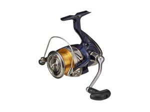 _C(Daiwa) 20 NXg LT4000-C
