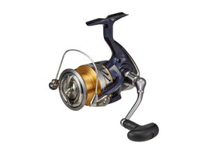 _C(Daiwa) 20 NXg LT6000-H