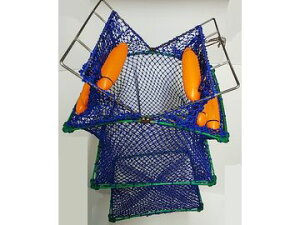 RguL Ko|XJ p^ 40cm 3i