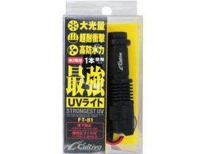 I[i[΂(OWNER) FT-81 ŋUVCg