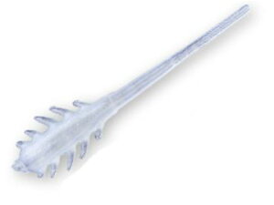 R[(CORMORANj Aji PinPin 1.2C`