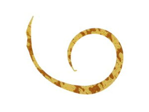 WbJ(JACKALL) rrXCb`T+lN^C }CNJ[[ X