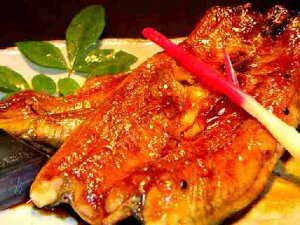 l΂ȂāyyMt_̂zyyMt_z