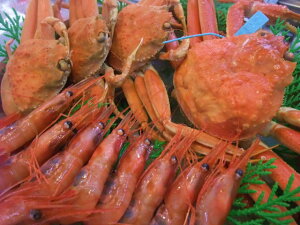 yzYCKjEKjiɁjÃGrli킯jyyMt_̂z