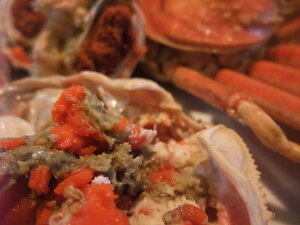 yzAEgbgKjiTCYj1Kg(8`12tjy󂠂z(IEɁjyyMt_̂z