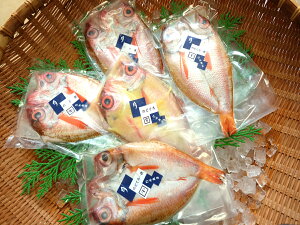 ̂ǍHה׃Zbg@ysmtb-tzyyMt_̂zyyMt_z