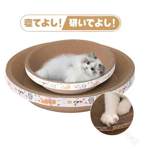 2Zbg L ܂Ƃ _{[ XNb`[ ی` KK߂Ƃ XgX Lpxbh lRpi{[ ܌pi ybgpi lCi