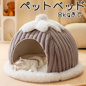 ybgnEX h[^ p  ybgxbh nEX ybg Lp ybgpi ӂӂ  L ~ ~p   ^ ^  Lp 킢 eg O[ O[ g