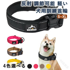 ̎ ˑfގgpŖԂS yʃbVf ^ ^ ^Ή ߉\ \tgpbhtŉK lC vŊȒP\ȌpP