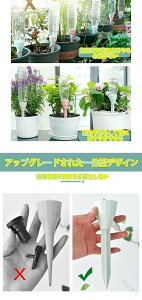  12Zbg _J[ 蓖  Ap UVXe ʒ߉\ ϗtA | ~  ɍœK