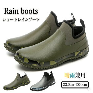 CV[Y V[gCu[c JC x[V[gu[c Y fB[X JWAV[Y hƌC Lv AEghA ނ W[  jp ʋ ʊw X|