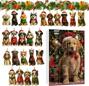 AhxgJ_[ 2025  NX}X I[ig NX}Xc[  uChi tBMA NX}Xv[g ybg  {bNX 24Zbg NX}X  N