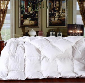 Hѕzc _bN_E Rێdl 7Nۏ 30}X̃Lg zCg_E150A |zc J[A ~pzc Q iHтӂƂ ۉQ