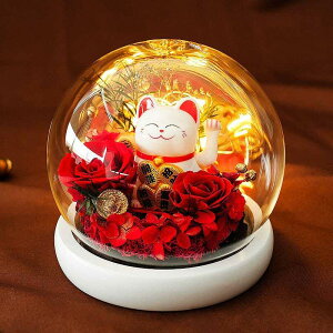 L t[ ͂Ȃ Cgt  KN hCt[ KXh[  ^Abv ΂L u CeA  ܂˂˂ ɐ u  Vzj JXj 