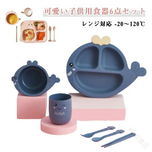 `v[g qp d؂t LbYv[g 6_Zbg qǂpHZbg qH qpi {Et d؂v[g xr[H y WΉ xϐ-20`120 HΉ 