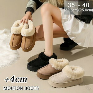 [gu[c fB[X  Xb| 4cmq[ V[gu[c tFCNt@[ {A y  t@[  H~  ɂ _炩 s W[pɍœK