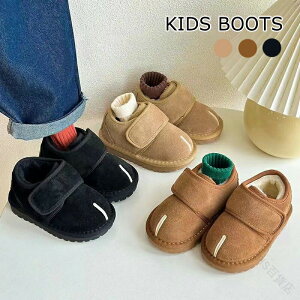 [gu[c V[gu[c xr[V[Y N qC xr[C H~C ~ ̎q j̎q Xm[u[c [q[ q WjA g h JWA ʊw  w