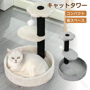 Lbg^[ ȃXy[X u^ ^ Lp܂Ƃ|[ L^[ lR|[  ^s ߂Ƃ VRR ϋv gȒP x ~j Q^[ Ⴂ Vя  킢