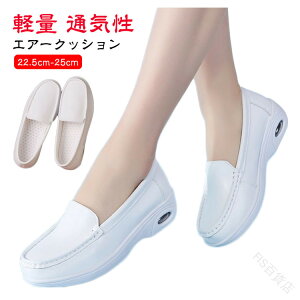 i[XV[Y  bV GA[\[ y y ɂ LbNobN Ռz ᔽC\[ ʋC É ₷ ×p Ōt  dp V[Y