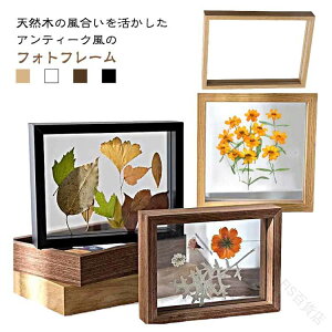 tHgt[ ʐ^ ؐ  tHgX^h ʓ KX  ؘg  u^ cp DIY  W{ Mtg v[g k ؖ j 蕨ɍœK