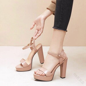 T_ fB[X `L[q[ nCq[ ANXgbv q[ 12cmq[ Vv  JWA GKg 芴 Gi TCY22.5cm 傫TCY26.0