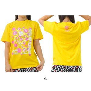 Nbv CLAP Nbvt[ eB[ fB[X TVc  X|[cAp g[jO tBbglX  CTS25068