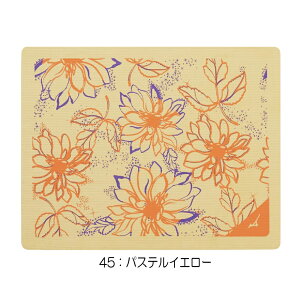 ~Ym MIZUNO j AYA COLLECTION 숻 胂f z^I XC^I Z[^I 2025NH~f N2JYC508