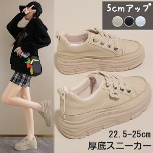 Xj[J[ fB[X 5cm V[Y  L  Xj[J[ fB[X ꂢ  C V[Y _bhXj[J[ O  r C gAbv אg 