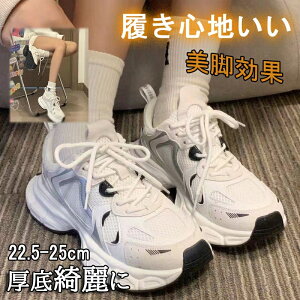 Xj[J[ fB[X Ȃ L V[Y  ʋC Xj[J[ fB[X ꂢ EH[LOV[Y r ^C V[NbgV[Y y V[Y [XAbv 4c