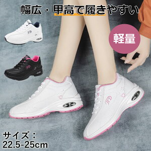 StV[Y fB[X GANbV y PUU[ Xj[J[ ^C C EH[LOV[Y ʋC h L r 傫TCY  p[NSt X|[c ₷