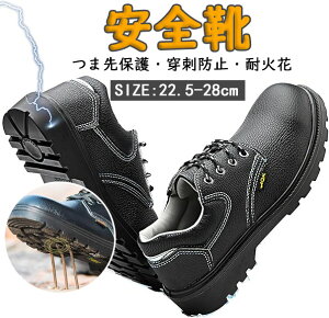 SC Y fB[X SC ƌC y 񂺂C Z[teB[V[Y Y fB[X V[Y C Z[teBV[Y |c ܐی Bݔh~ ϖ y ʋC 