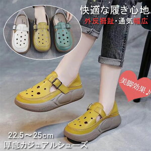 JWAV[Y Od Xb| fB[X V[Y T_ 2way Ƃ߂ JWA fB[X 5cm Vv  ₷ _炩 yʐ݌v 