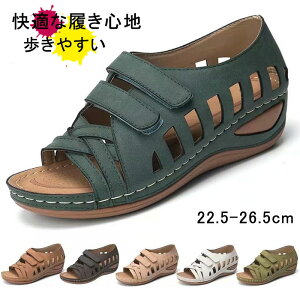 T_ fB[X T_ EFbW\[ [q[ }WbNe[v y ɂ ₷ ɂȂT_ EFbWq[T_ ʋ ʊw d  GKg 