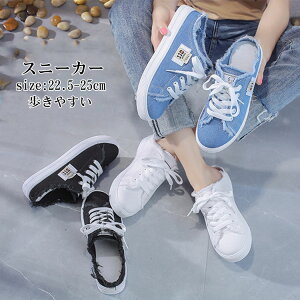 Xj[J[  Xj[J[ T_ fB[X Cq[ T_ Xb| LoXXj[J[ Rt ₷ wlC ƂȂ Xj[J[  T{ Xb| y 