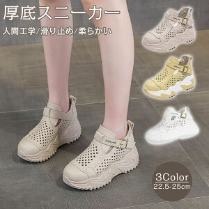 ꓧXj[J[ fB[X 5cmgAbv Xj[J[ Xb| ₷ _bhXj[J[ JWAV[Y _炩 r KȌC y ~ bV