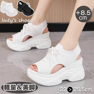 X|[cT_ fB[X 8.5cmq[ T_ bV y EFbW\[ T_ Xj[J[T_ X|[cbVT_ ʋC V[Y Xj[J[ r X