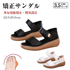 T_ O䋸 X|[cT_ T_ fB[X EFbWT_ gAbv RtH[gT_ Xj[J[T_ ėp EFbW\[ ɂ y 