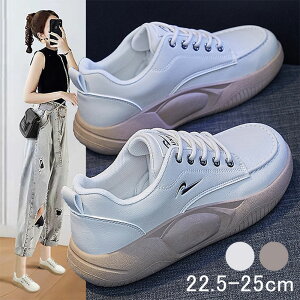 yzXb| fB[X Xj[J[ pvX O fB[XV[Y  Xb| [q[ ₷ V[Y Xb| V[Y   