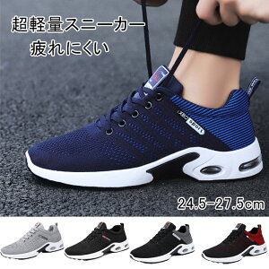  Xj[J[ Y fB[X  bV jOV[Y  y EH[LOV[Y L ʋC ₷ JWA ^C ʋ ʊw 풅p r X