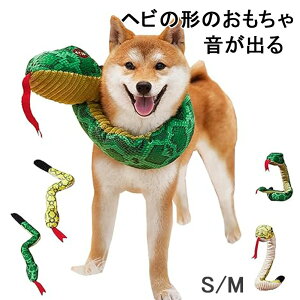 y2Zbgz   ̏o  ʂ wr RXv   N 蕨 L   ^ ^ ^ ybg 2025N x N N  ʂ XJ