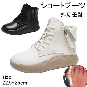 fB[X V[gu[c RtH[gV[Y O Xm[V[Y N ₷ V[gu[c Ȃ 3.5cmq[ lԍHw O L ~ h ʋC y 