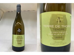 ���F[2020] �e�[���E�h�E�g���@�^���h���@�u���� (�I�[�����A���@�t�F�[����)Terre de Thorey Tendre (Aurelien Febvre)