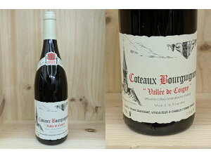 (Rg[)F[2022] Rg[EuMj@[W (@TEh[BT) Coteaux-Bourguignons Rouge (Vincent Dauvissat)
