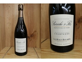 正規品：BG:[2014] ベレッシュ・エ・フィス　”レ・ボー・ルガール”Bereche et FIls Les Beaux Regards