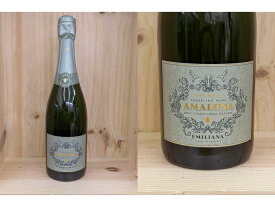 [NV]　アマルナ オーガニック・スパークリング・ワイン ブリュット トラディショナル・メソッド ヴァレ・カサブランカ（エミリアーナヴィンヤーズ/チリ） Amaluna Organic Sparkling Wine Brut Traditional Method Valle Casablanca (Emiliana Vineyards)