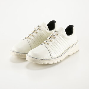 CTeBvX imsentir+ U[ {v fB[XXj[J[ SqXb|yʃRtH[g im+260-7280@@tBbgnEX