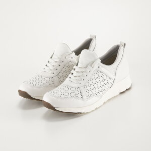 AVbNX ASICS ALA[Y AcureZ fB[XXj[J[ AO-24060@ @tBbgnEX