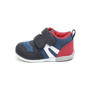 y5̂聚10%N[|zyX[p[Z[Ԓ|Cg10{z[X^[ moonSTAR xr[V[Y 12118745 MS B111@@tBbgnEX