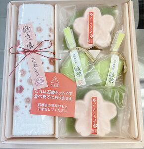 yMtgZbgz邨̂CMtg@Ԃ˃Zbg@HGN-10